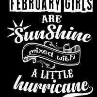 February Girls Are Sunshine Mixed with Little Hurricane - Birthday Shirt - Bliss Birthday Shirts - Small - Black