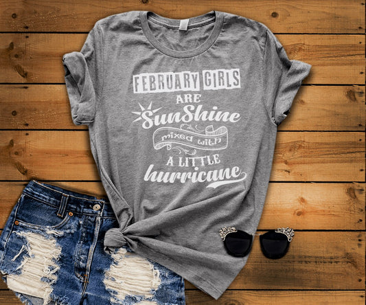 February Girls Are Sunshine Mixed with Little Hurricane - Birthday Shirt - Bliss Birthday Shirts - Small - Grey