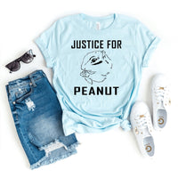 Support Peanut the Squirrel – Justice for Peanut Shirt - Bliss Birthday Shirts - Heather Ice Blue - S